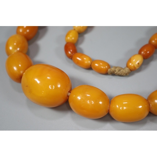 275 - Amber Butterscotch necklace.  59g approx.  The largest bead  2.5cm long approx.  (B.P. 21% + VAT)