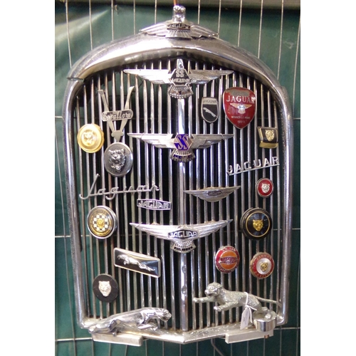 368 - Large post War Jaguar chrome radiator grill featuring a large collection of Jaguar and related badge... 