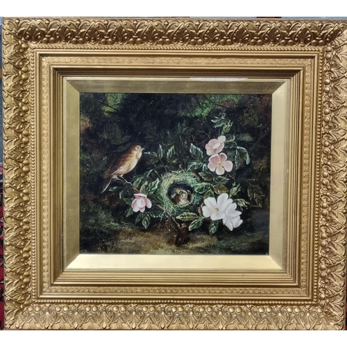 71 - C White (British 19th century), birds nest with mother and chicks amongst flowers, signed date '89. ... 