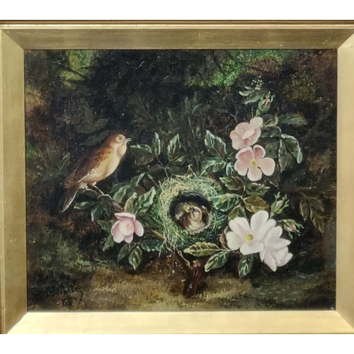 71 - C White (British 19th century), birds nest with mother and chicks amongst flowers, signed date '89. ... 