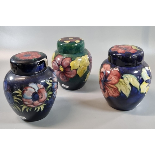 11 - Three Moorcroft pottery tube lined ginger jars and covers, Hibiscus and other designs. (3)
(B.P. 21%... 