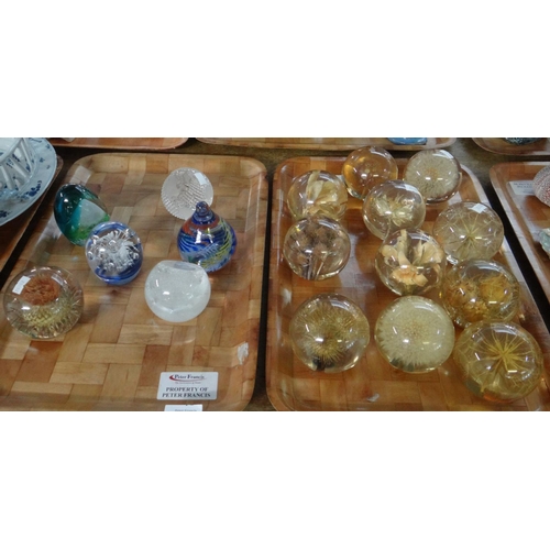 281 - Two trays of glass paperweights, mostly Hafod Grange dried flower paperweights, globe design, Kenlay... 