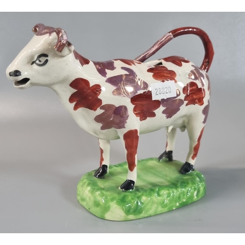 97 - 19th century Swansea Pottery cow creamer with red and and lustre splash decoration on naturalistic b... 