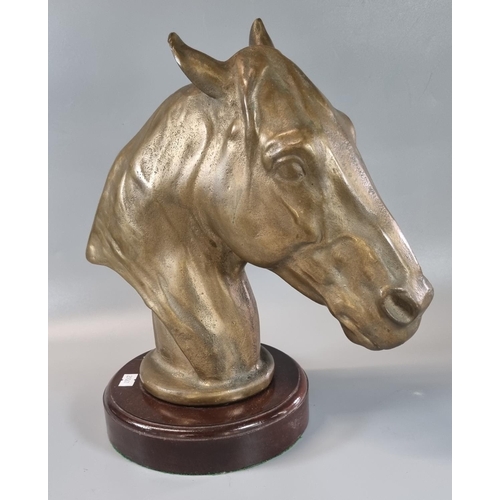 75 - Good quality heavy bronze horse head  with naturalistic features on a circular wooden mahogany base.... 