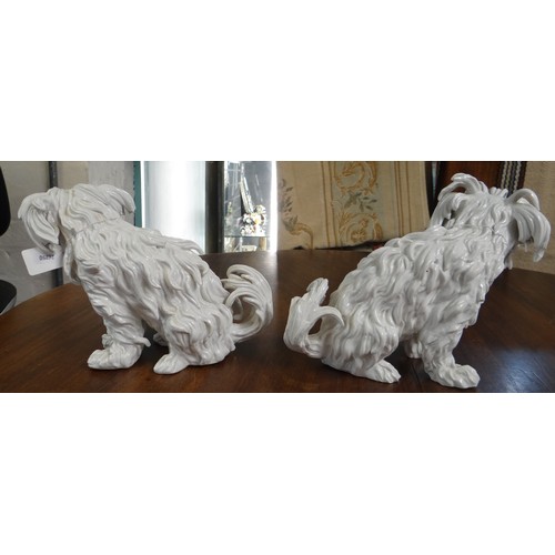 161 - Pair of continental porcelain Blanc de Chine seated fireside dogs, blue mark to the underside.  (2) ... 