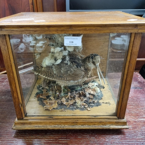 118 - Taxidermy - cased specimen study of a woodcock amongst leaves and foliage. 
(B.P. 21% + VAT)