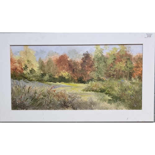 117 - Sandra Phillips (Welsh 20th century), 'Changing Seasons', oils on board.  30x60cm approx.  Framed.  ... 