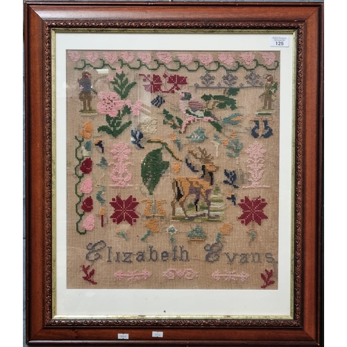 125 - Welsh tapestry sampler by Elizabeth Evans, probably 19th century.  49x43cm approx.  Framed and glaze... 