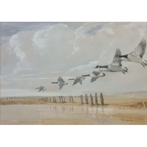 105 - Ruben Ward Binks (British 1880-1950), Canada Geese over sandy beach and groyne, signed.  Watercolour... 