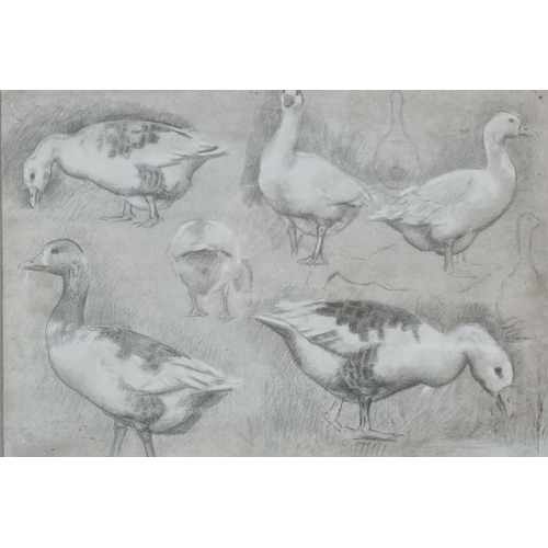 118 - Ralph Todd (British 1856-1932), 'No. 18, study of geese'.  Pencil sketch.  Fosse Gallery exhibition ... 