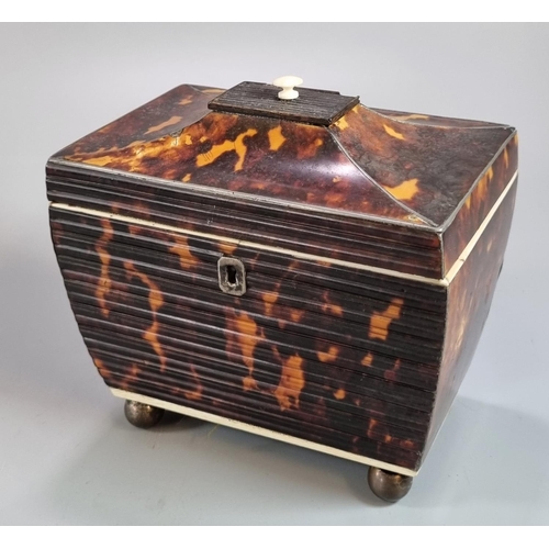 215 - Late 18th/early 19th Century sarcophagus shaped and fluted design tortoiseshell twin tea caddy on ba... 