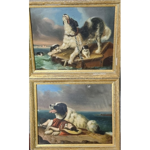 82 - After Landseer (19th century), 'Shipwrecked' and 'Saved', two small studies of Newfoundland dogs.  O... 