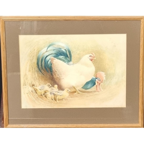 90 - British School (20th century), study of a cock and hen chicken with chicks, watercolours.  25x35cm a... 