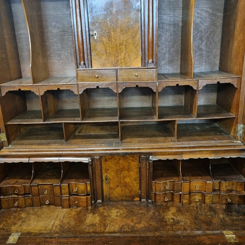 35 - 18th century pollard oak and burr walnut two stage bureau bookcase, the moulded and dental cornice a... 