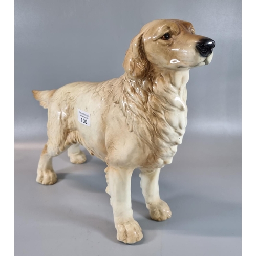 100 - Goebel West German study of a Golden Retriever. 
(B.P. 21% + VAT)