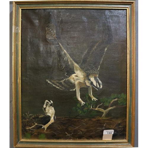 133 - British School (20th century), study of an Osprey at her nest.  Oils on canvas.  49x40cm approx.  Fr... 