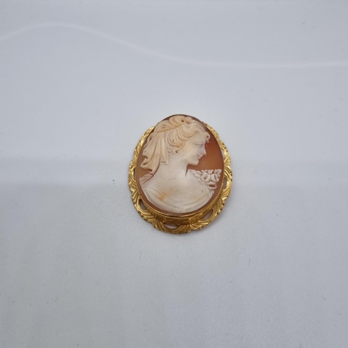 259 - 9ct gold cameo portrait brooch.   (B.P. 21% + VAT)