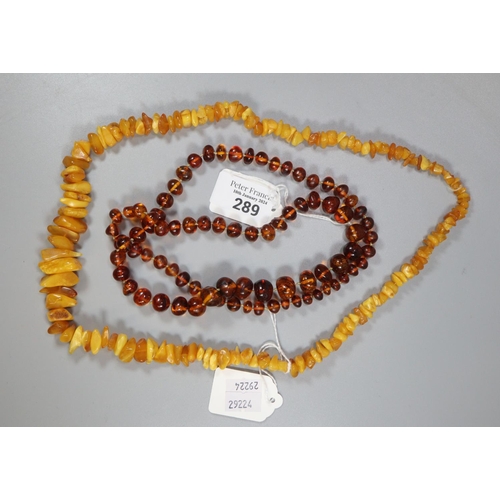 289 - Amber chip necklace and an amber coloured bead necklace.  (2)  (B.P. 21% + VAT)