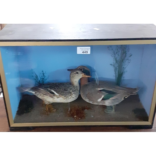 449 - Taxidermy - Cased specimen pair of Teal ducks, male and female.  50cm wide approx.  (B.P. 21% + VAT)