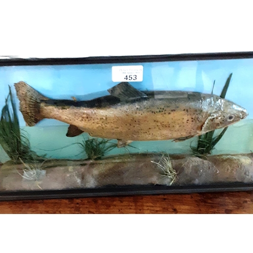 453 - Taxidermy - Cased specimen Brown Trout.  47cm approx.  (B.P. 21% + VAT)