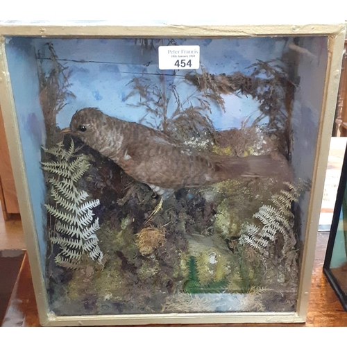 454 - Taxidermy - Cased specimen Cuckoo on rockwork amongst  foliage.  33cm wide approx.  (B.P. 21% + VAT)