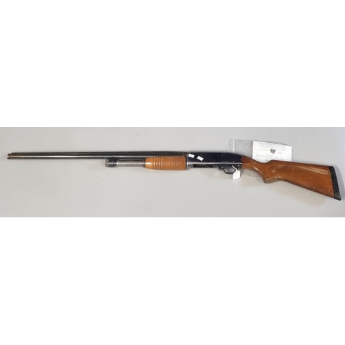 176 - Winchester single barreled pump action 12 bore shotgun No. L1656718.  Deactivated with certificate. ... 