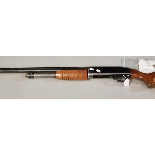 176 - Winchester single barreled pump action 12 bore shotgun No. L1656718.  Deactivated with certificate. ... 