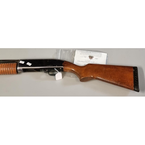 176 - Winchester single barreled pump action 12 bore shotgun No. L1656718.  Deactivated with certificate. ... 