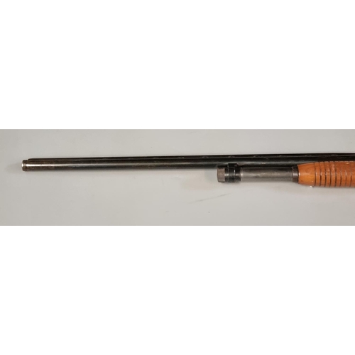 176 - Winchester single barreled pump action 12 bore shotgun No. L1656718.  Deactivated with certificate. ... 