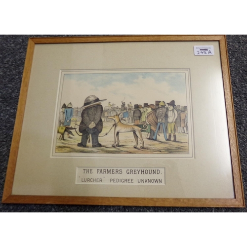 245A - After R Taylor, 'The Farmer's Greyhound', Lurcher, pedigree unknown, humorous cartoon print.  16x24c... 