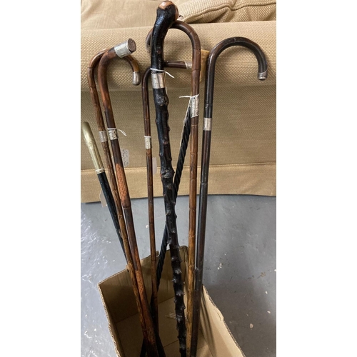 481 - Collection of vintage walking sticks and canes, to include: blackthorn, silver collared, Chinese bam... 