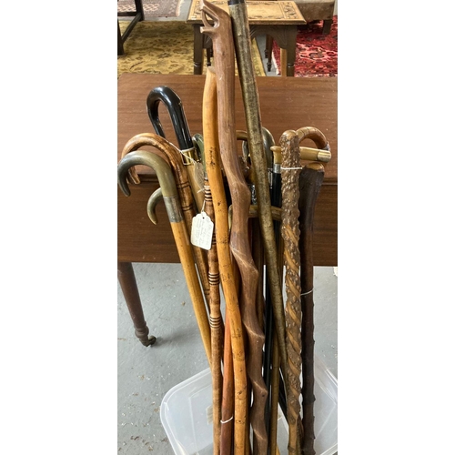 484 - Collection of vintage walking sticks and canes: shepherd's crook, silver collared, briar thorn with ... 