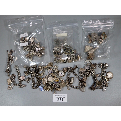 251 - Plastic tub of assorted mainly silver charm bracelets (and assorted charms (11 troy oz approx.),  to... 