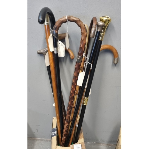 441 - Collection of assorted canes and walking sticks, various, ebonised and others including a modern ebo... 