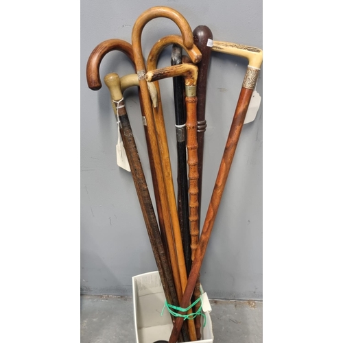 443 - Collection of assorted walking sticks, various, stag horn handles etc.  (10)  (B.P. 21% + VAT)