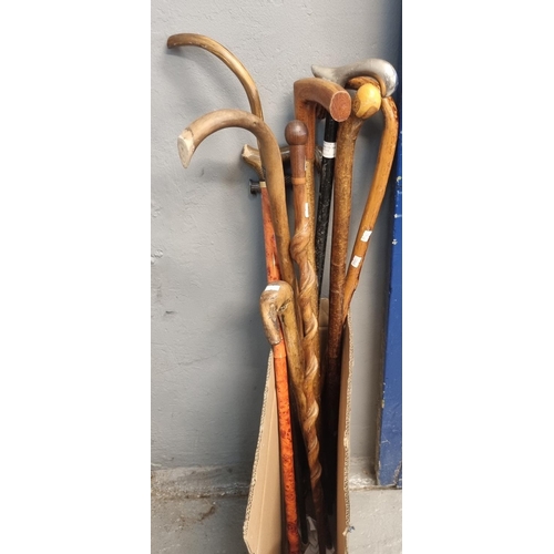 444 - Collection of assorted walking sticks, various.  (10)  (B.P. 21% + VAT)