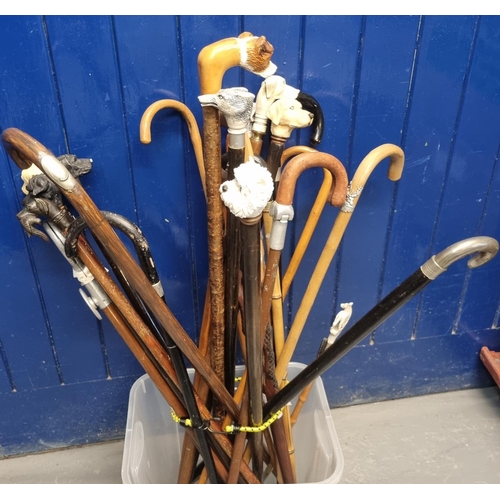 445 - Good collection of assorted  walking sticks and canes, many with moulded or carved dog head mounts, ... 