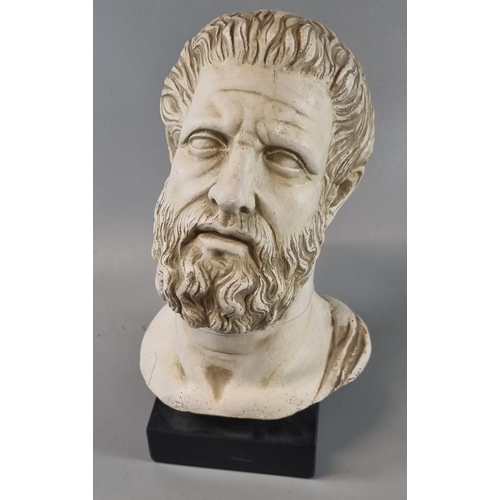 27 - Simulated marble bust of an ancient Greek man with beard on stained square base.  (B.P. 21% + VAT)
