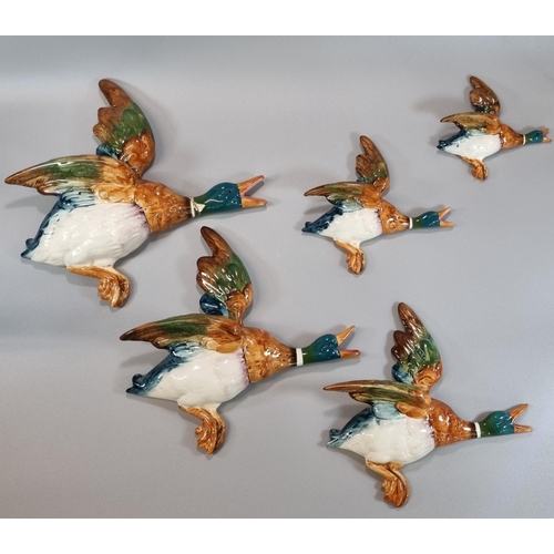 126 - Set of five Beswick graduated 596 Mallard wall plaques.  (5) (B.P. 21% + VAT)