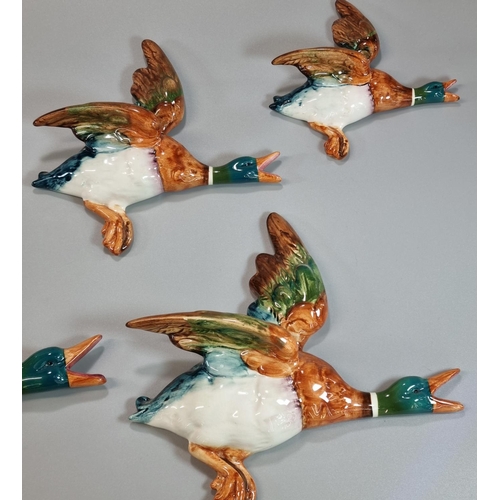 126 - Set of five Beswick graduated 596 Mallard wall plaques.  (5) (B.P. 21% + VAT)