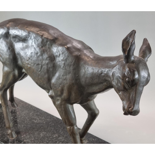 76 - Art Deco design hollow bronze study of a fawn raised on a rectangular granite base. 55cm long approx... 