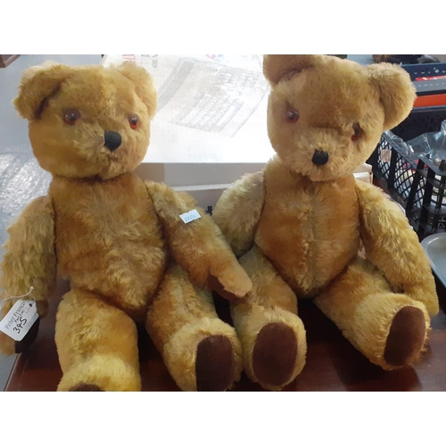 345 - Two similar mid century mohair teddy bears with bells in ears, stitched nose, glass eyes and moveabl... 