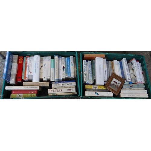 431 - Four boxes of books mostly on birds to include: various Helm and Peterson Mountfort Hollom field gui... 