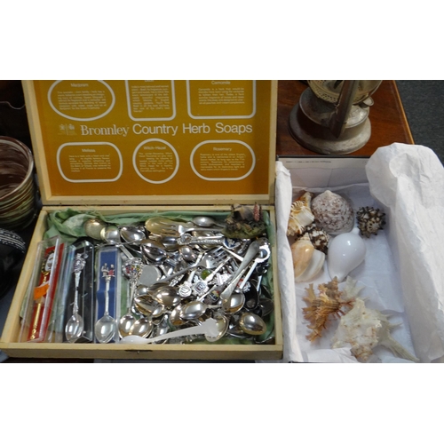 341 - Wooden box comprising assorted souvenir spoons together with a box of marine shells including; conch... 