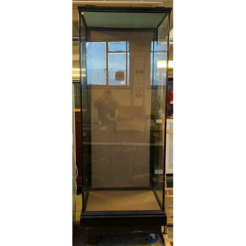 532 - Tall ebonised glazed museum type display cabinet on a platform base with a swept cornice to the top,... 