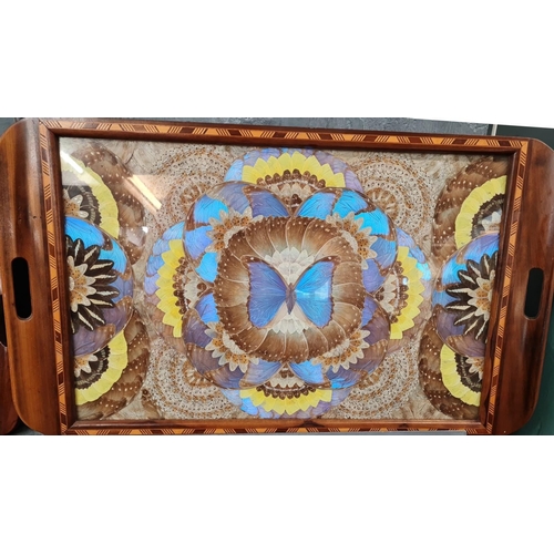 Two early 20th century cross banded and inlaid butterfly wing trays ...