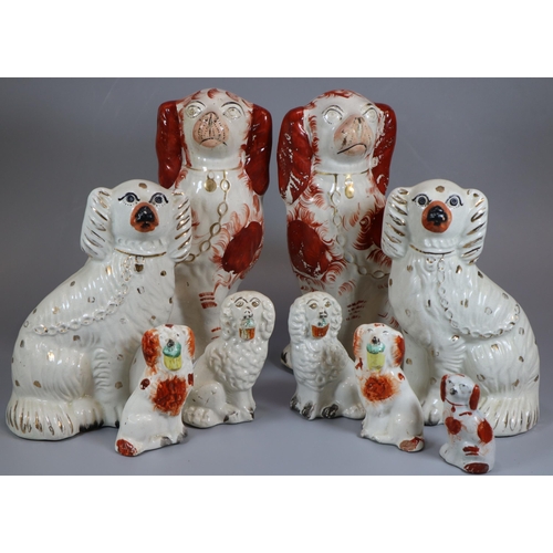 147 - Collection of Staffordshire fireside seated spaniels of varying sizes.  (9)   (B.P. 21% + VAT)