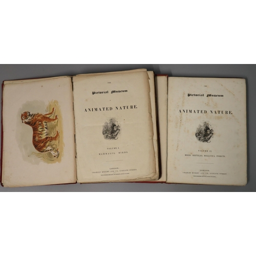 181 - 'The Pictorial Museum of Animated Nature', published by Charles Knight & Company, London.  Volumes O... 