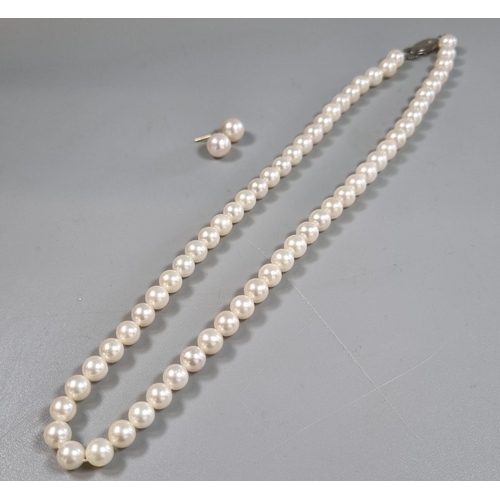 217 - Cultured pearl necklace and pair of pearl stud earrings with silver clasp.  (B.P. 21% + VAT)