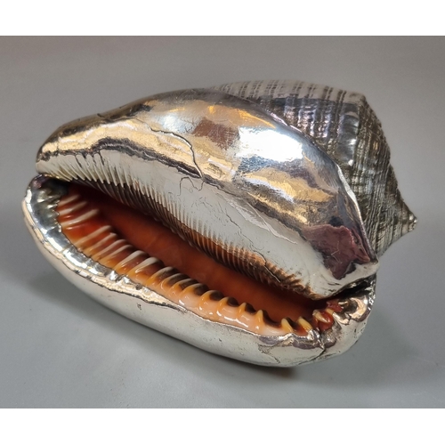 288 - Mario Buccellati, silverplated study of a marine conch shell.  (B.P. 21% + VAT)